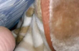 XXX BÚT SỮA FUCK SHOW !!!!!!!! xxx gái đẹp hàn quốc (PHẢI XEM)